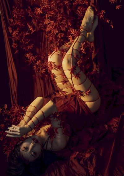 偏爱予你，不惧山河-高清免费日本电影免费